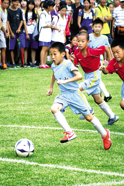 德天空：法比安-舍尔在纽卡位置被佳夫取代，冬窗或重返德甲（德天空：佳夫取代法比安-舍尔在纽卡的位置，后者冬窗或回归德甲）